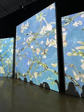 ゴッホ・アライブ神戸に投稿された画像（2023/5/1）