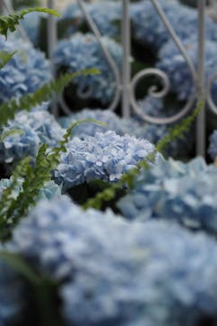 安城産業文化公園デンパークに投稿された画像（2023/5/1）