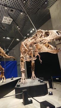特別展「恐竜博2023」に投稿された画像（2023/5/1）