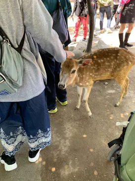 神戸どうぶつ王国に投稿された画像（2023/5/1）