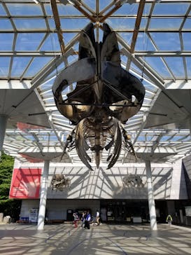 特別展「毒」に投稿された画像（2023/5/1）