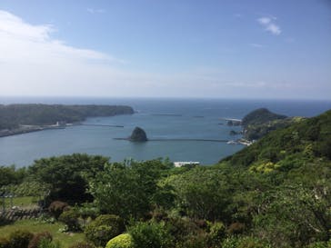 下田ロープウェイに投稿された画像（2023/5/1）