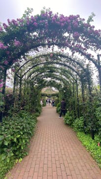 横浜イングリッシュガーデンに投稿された画像（2023/5/1）