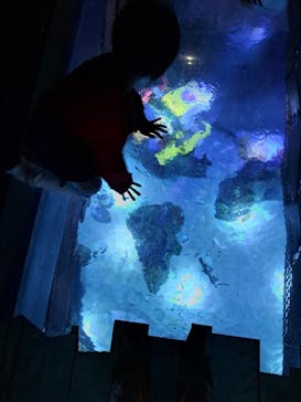 レゴランドⓇ・ジャパン・リゾートに投稿された画像（2023/5/1）