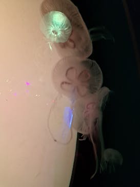 レゴランドⓇ・ジャパン・リゾートに投稿された画像（2023/5/1）