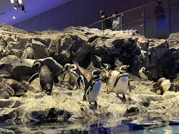 すみだ水族館に投稿された画像（2023/5/1）