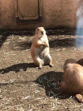 横浜・八景島シーパラダイスに投稿された画像（2023/5/1）
