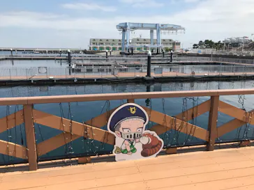 横浜・八景島シーパラダイスに投稿された画像（2023/5/1）