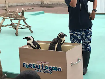 横浜・八景島シーパラダイスに投稿された画像（2023/5/1）