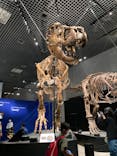 特別展「恐竜博2023」に投稿された画像（2023/5/2）