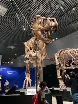 特別展「恐竜博2023」に投稿された画像（2023/5/1）