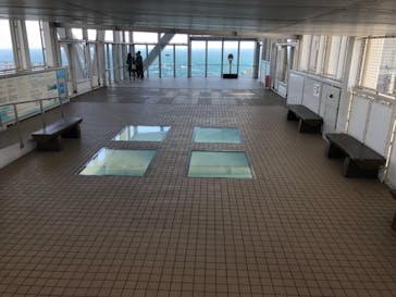 徳島県立 渦の道に投稿された画像（2023/5/1）