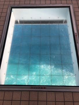 徳島県立 渦の道に投稿された画像（2023/5/1）