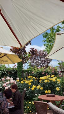 横浜イングリッシュガーデンに投稿された画像（2023/5/1）