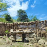 日立市かみね動物園に投稿された画像（2023/5/2）