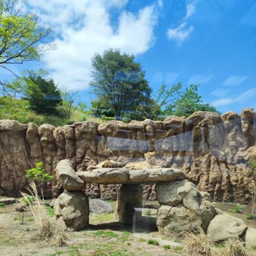 日立市かみね動物園に投稿された画像（2023/5/1）