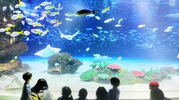 サンシャイン水族館に投稿された画像（2023/5/1）