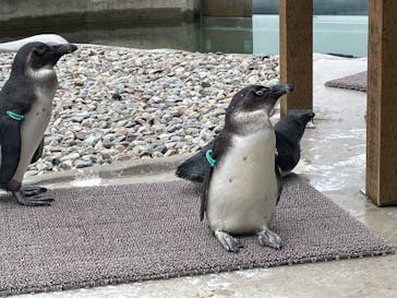 那須どうぶつ王国に投稿された画像（2023/5/1）