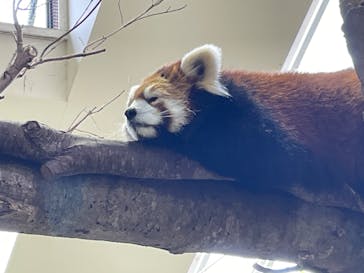 那須どうぶつ王国に投稿された画像（2023/5/1）