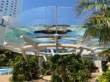 サンシャイン水族館に投稿された画像（2023/5/2）