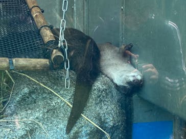 サンシャイン水族館に投稿された画像（2023/5/2）