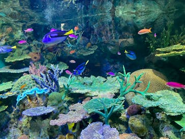 サンシャイン水族館に投稿された画像（2023/5/2）