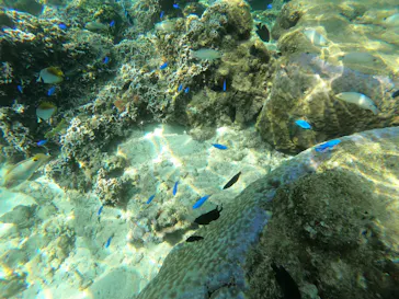 武藤潜水に投稿された画像（2023/5/2）