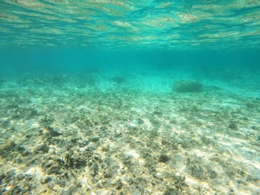 沖縄マリンサービス碧に投稿された画像（2023/5/2）