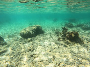 沖縄マリンサービス碧に投稿された画像（2023/5/2）