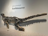 特別展「恐竜博2023」に投稿された画像（2023/5/2）
