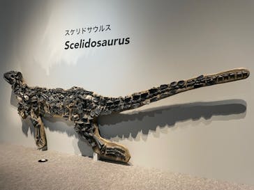 特別展「恐竜博2023」に投稿された画像（2023/5/2）