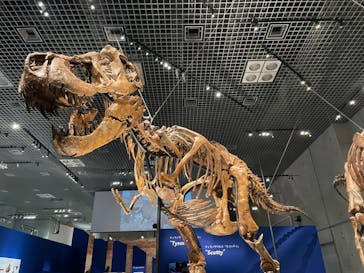 特別展「恐竜博2023」に投稿された画像（2023/5/2）