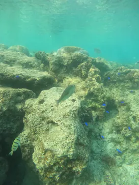 武藤潜水に投稿された画像（2023/5/2）