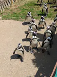 名古屋港水族館に投稿された画像（2023/5/2）