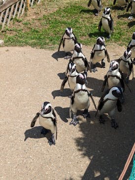 名古屋港水族館に投稿された画像（2023/5/2）