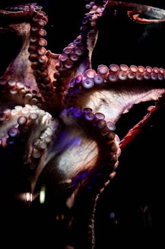 サンシャイン水族館に投稿された画像（2023/5/2）