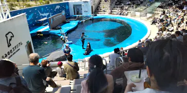 仙台うみの杜水族館に投稿された画像（2023/5/2）