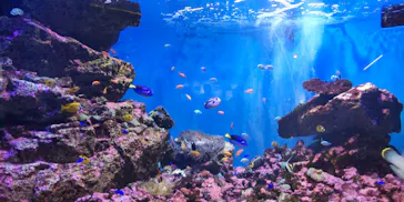 仙台うみの杜水族館に投稿された画像（2023/5/2）