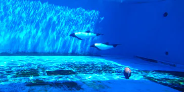 仙台うみの杜水族館に投稿された画像（2023/5/2）