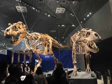 特別展「恐竜博2023」に投稿された画像（2023/5/2）