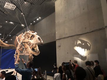 特別展「恐竜博2023」に投稿された画像（2023/5/2）