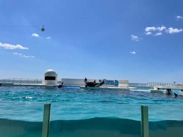 鴨川シーワールドに投稿された画像（2023/5/2）