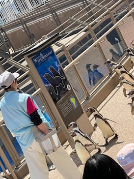 アクアワールド茨城県大洗水族館に投稿された画像（2023/5/2）