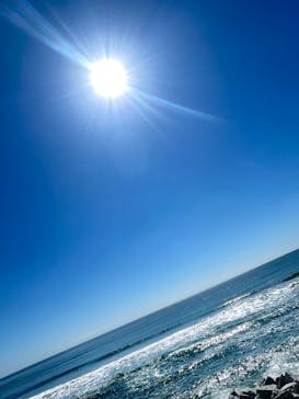 アクアワールド茨城県大洗水族館に投稿された画像（2023/5/2）