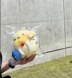 大分マリーンパレス水族館 「うみたまご」に投稿された画像（2023/5/2）