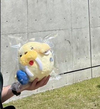 大分マリーンパレス水族館 「うみたまご」に投稿された画像（2023/5/2）