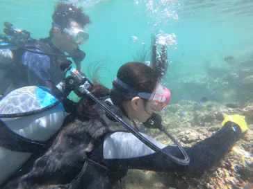 武藤潜水に投稿された画像（2023/5/2）