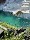 天王寺動物園に投稿された画像（2023/5/2）