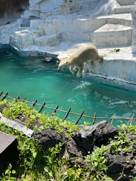 天王寺動物園に投稿された画像（2023/5/2）
