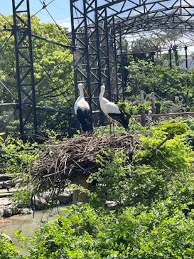 天王寺動物園に投稿された画像（2023/5/2）